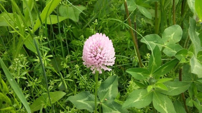 246F2D49572561C234E335