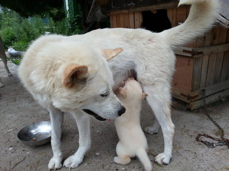 2259333751D9F4CA2A6370