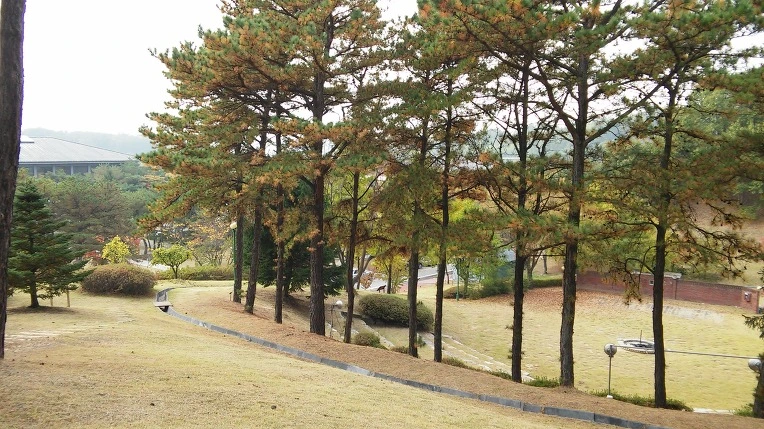 2503B93B562A9F192FF7FC