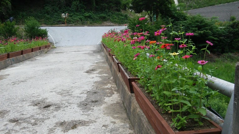 21480E3E59596BFF212F44