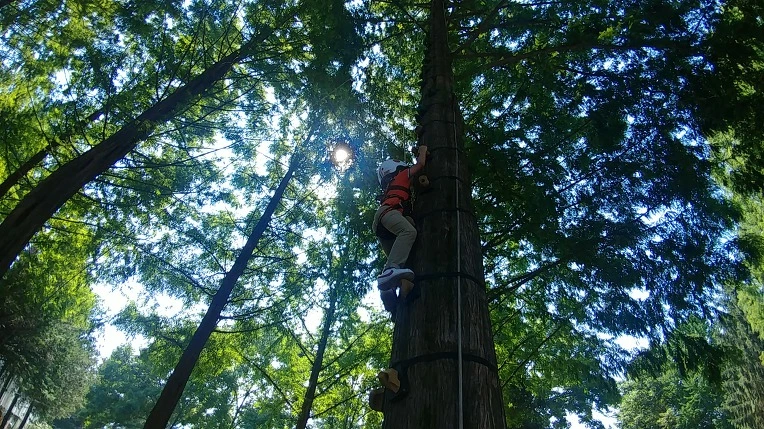 99E2E33F5B57BE961C99C0