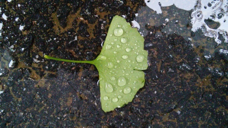 22188D3B560D7F3B13AFD2