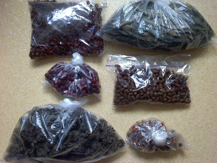 15743C564D3D37CA08B192