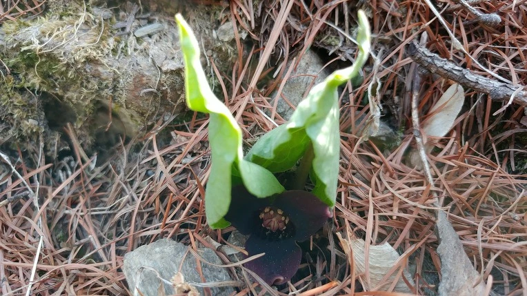 99CBCA365CDF836D30C8F4