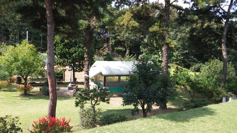 99D74B3359D560810DA11E