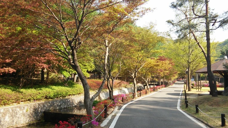 2268E13A55403CD433CEFD