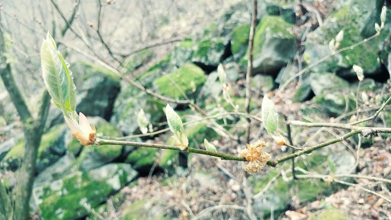 99E4FB415EBE1C7828FBF4