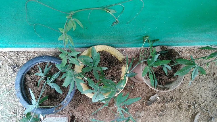 2228433F578C5D4B1095D0