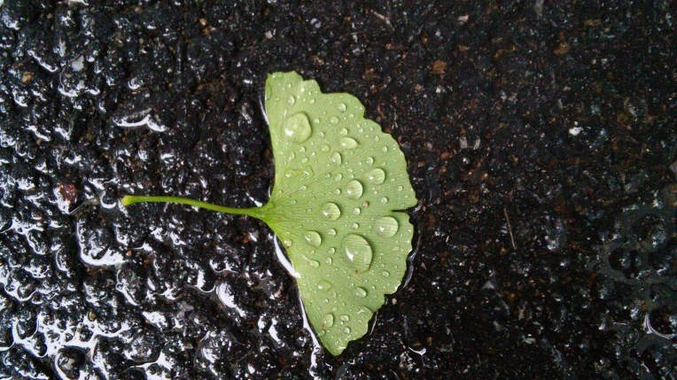 261A0A3B560D7F331349F6