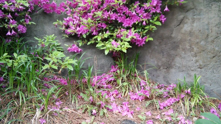 215B024B572FBDEC182CB6