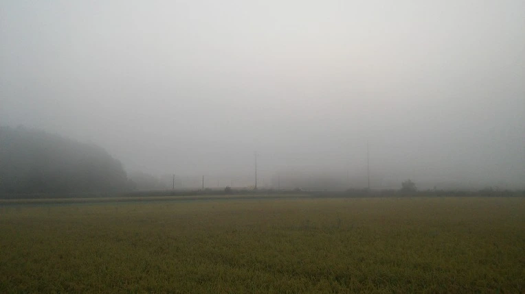 262F103857E468213537B1