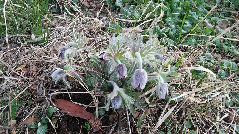 23285D4556FC8C0B288F84