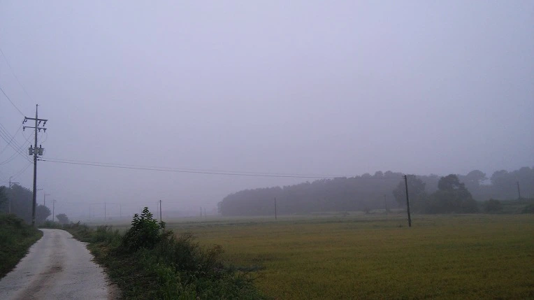 260A8B3757D4AE3F2077D6