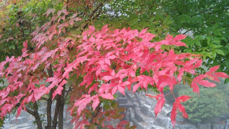 246BA54556281E2B240FE7