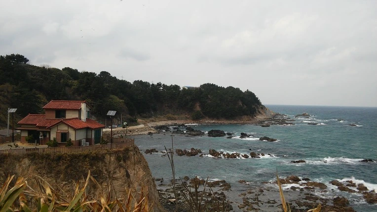 2336B24858D389072DECDA