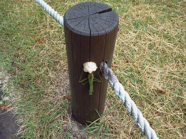 1329D93F506E725F22BED7