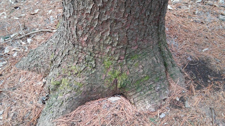 271DB14156EDE52A336CC0