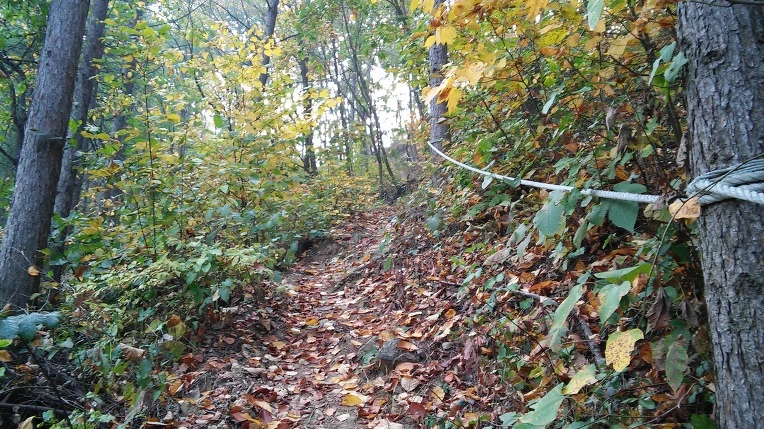 26721B3E56281DEC06D8B4