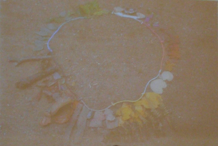 2678B03C56FA721A1ECBA7