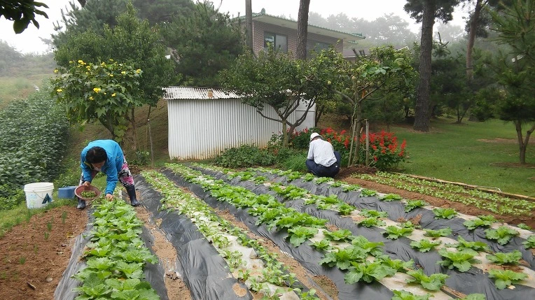 271DA55057D21A530CB44F