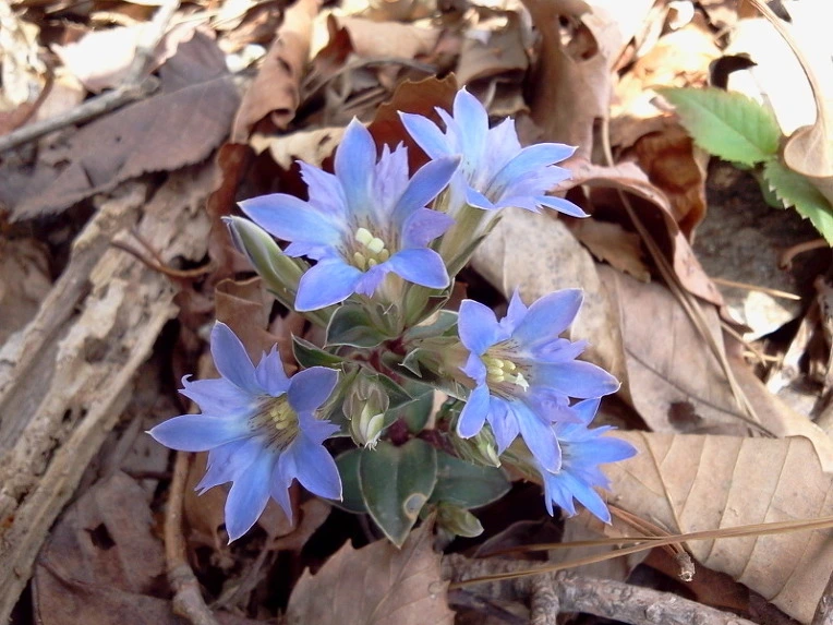 1904D1424DBF9FE22937BB