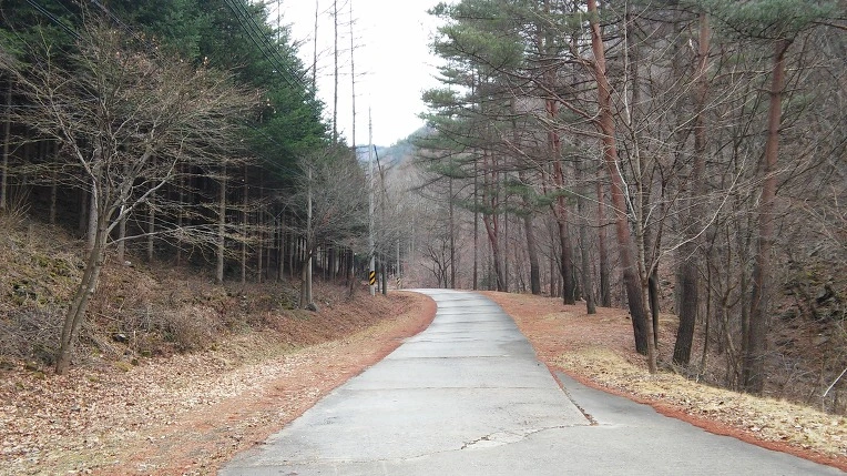 2174F05058D5FFE62E2F11