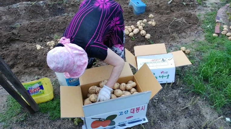 995075495B3D584020D5B9