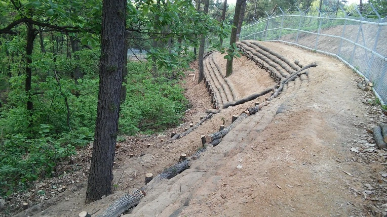 2576A049572696F416B87B