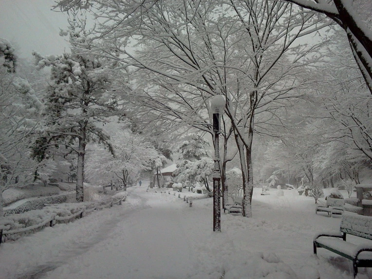 0121A64F5125A29B103B9D