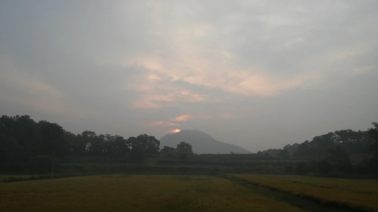 25337D4A57E701FB1A7806