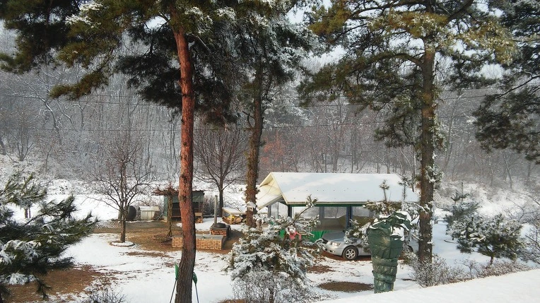 272A904056D10B022DF2A8