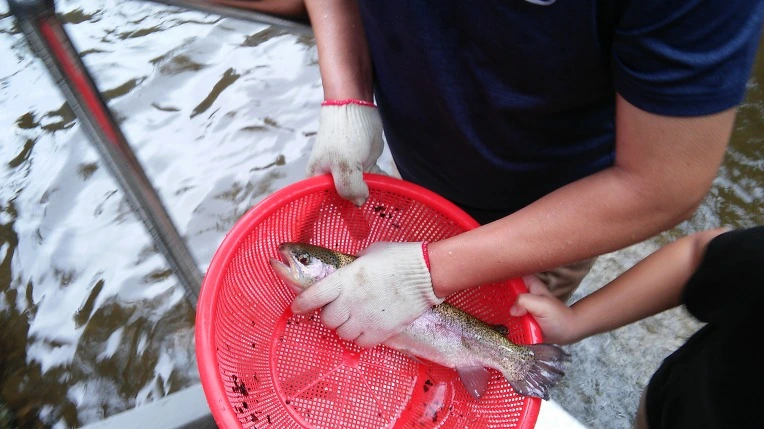 99385B335A0D1EFF1A2D5F