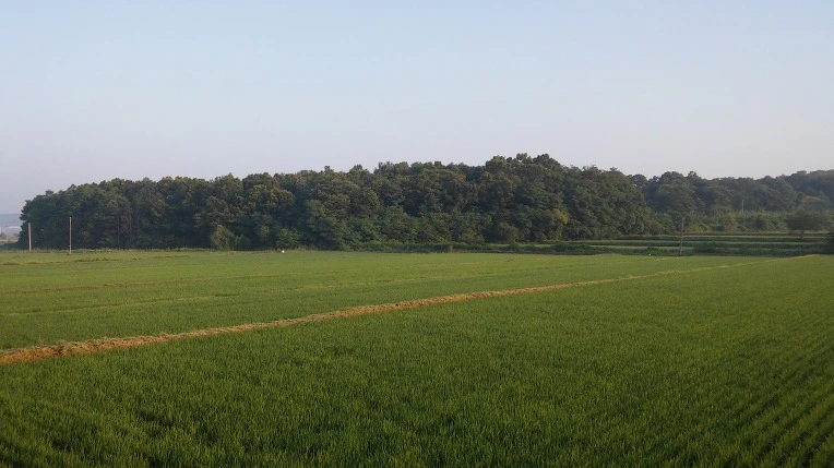 26119D50576F7D3222D8BE