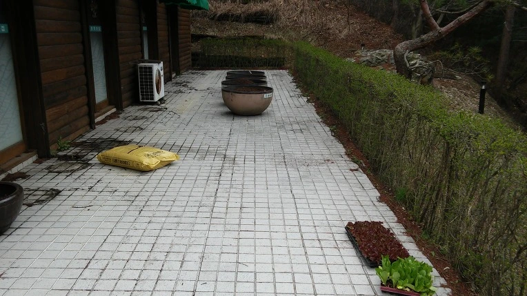 245485415524DC57186AE1