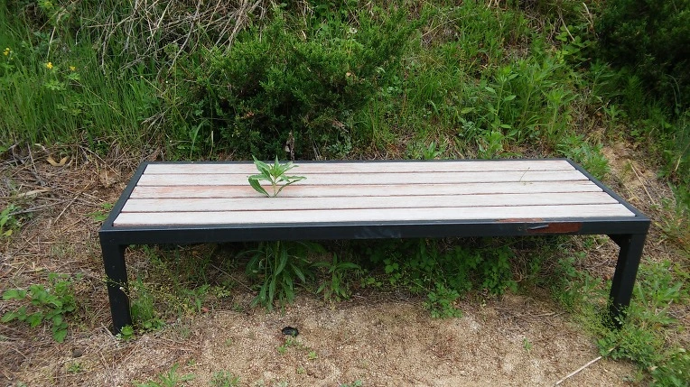 21043C4759155DBE2507F5