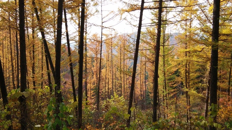 237B4437564314F60FE1FF