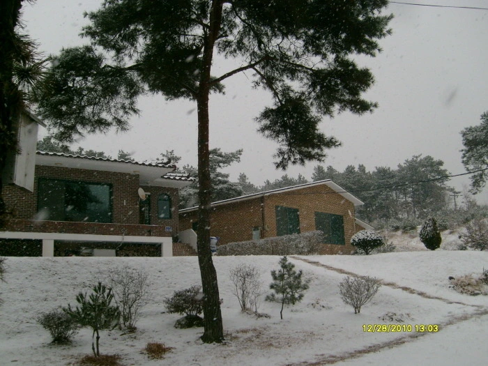 25268047547F907D28B2C3