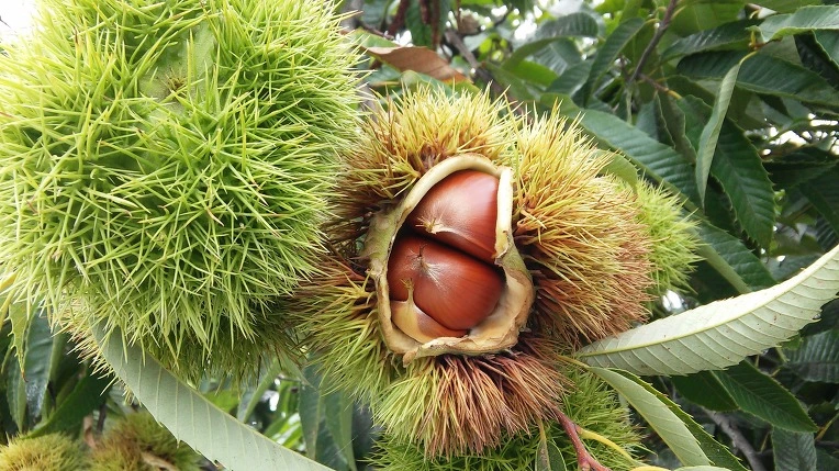 23115E3757D0B5381BD663