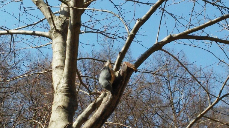 26141E34569F33832A403E