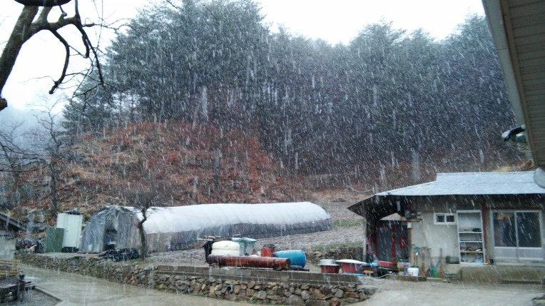 274A243558DF026D1F8D3B