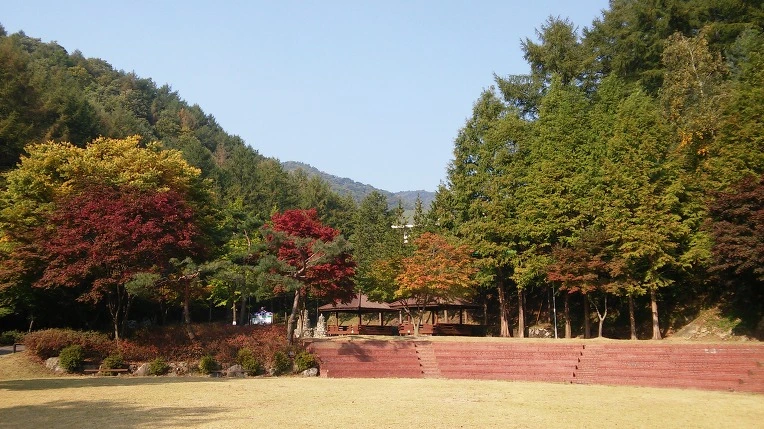 220706385620A67C2D0F74