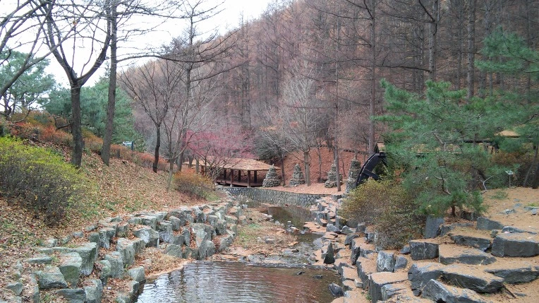 2449B834568CF7F6131758