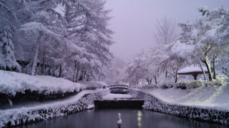 275D75335682822709A53D