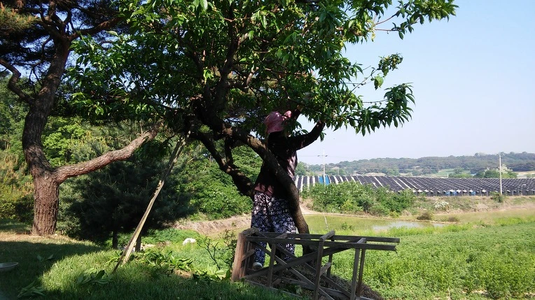 2273B54B591BAE9F07823A