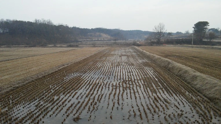 2259734156C6C223286D9E