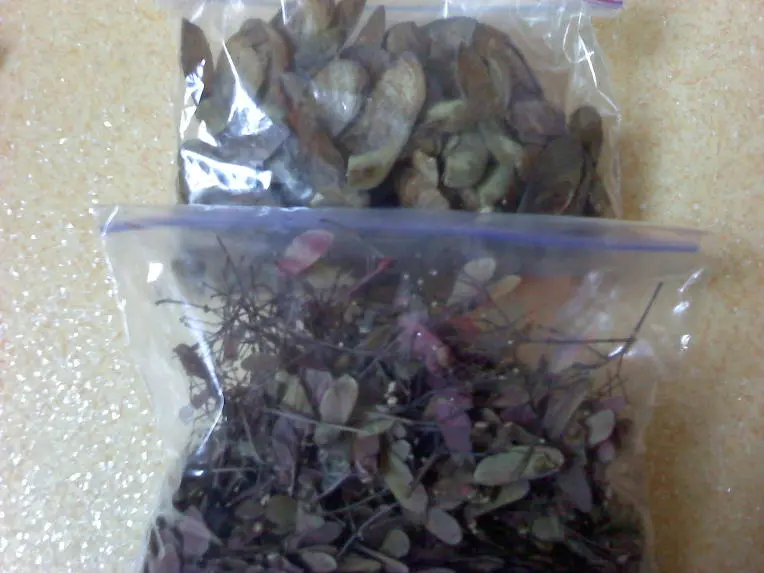 17738F564D3D38200BBA07