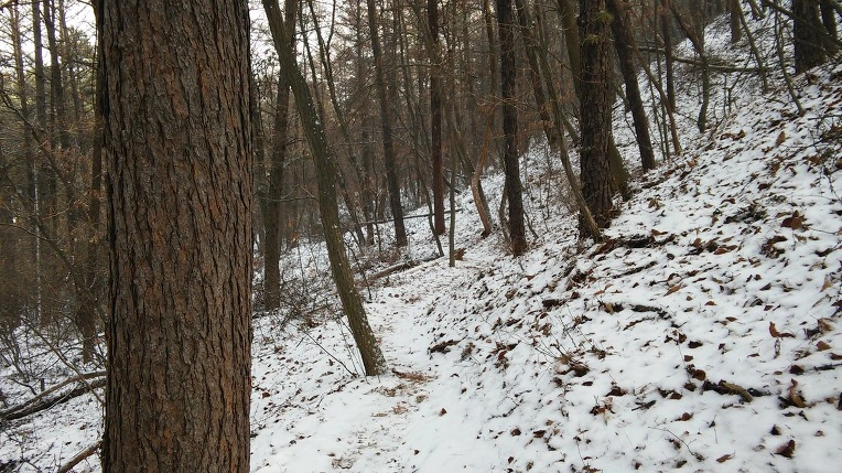 262CC0485878B02221C7C8