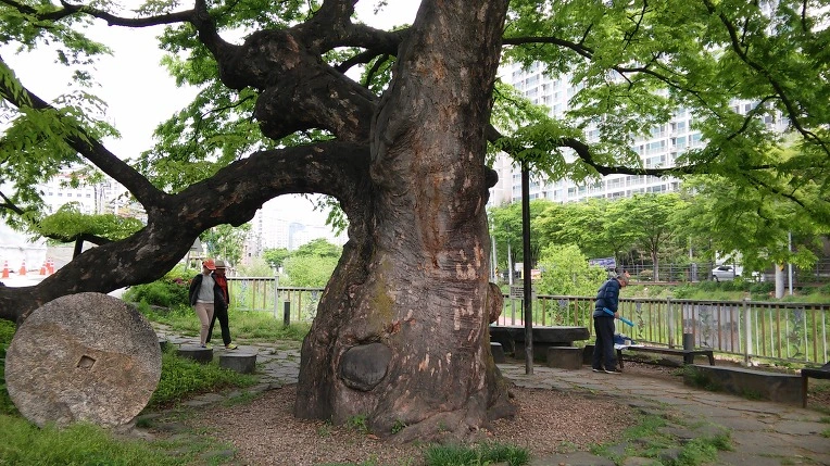 24407949572561C70B1AC1