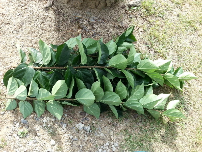 27545346541A94720926D9