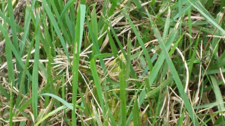 27472A3557D665BC21EAB0